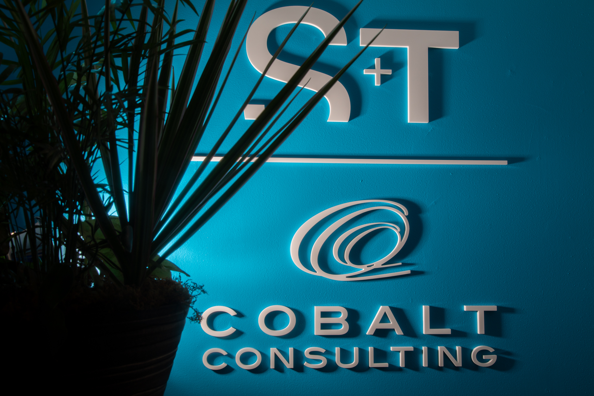 cobalt consulting logo on the wall